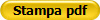 Stampa pdf